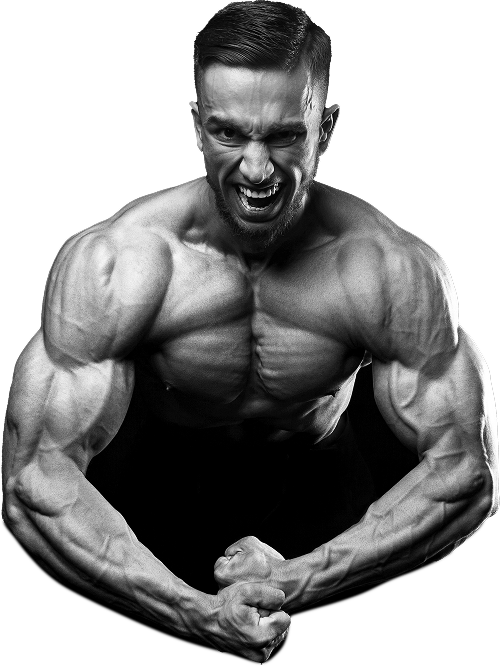 AMP Science Products