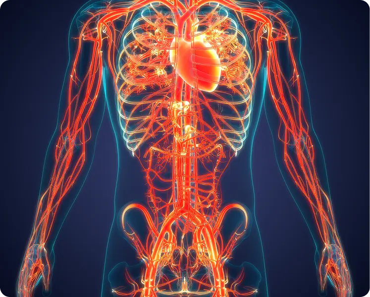1. Superior Blood Flow, Every Rep